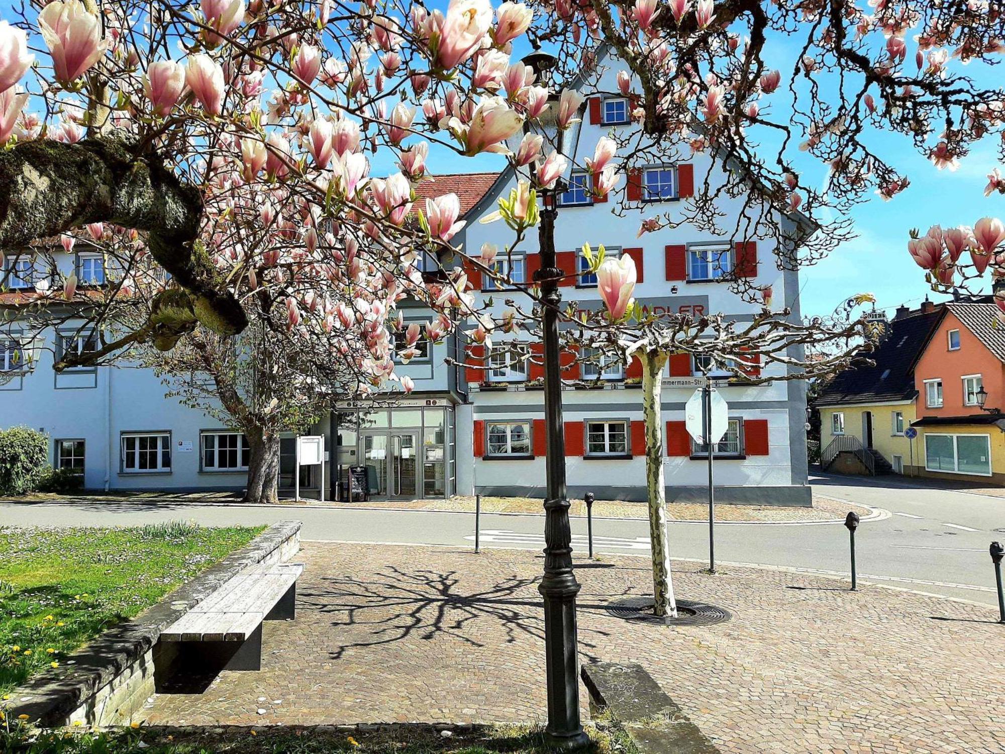 Restaurant Adler 3*